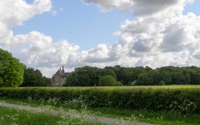 De impact van de wijzigingen op de Natuurschoonwet