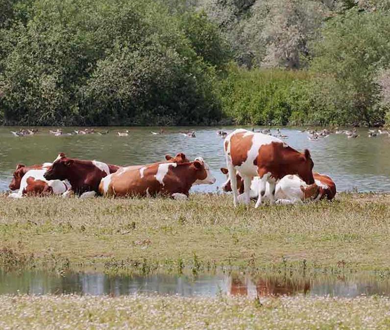 Omschakeling naar duurzame landbouw