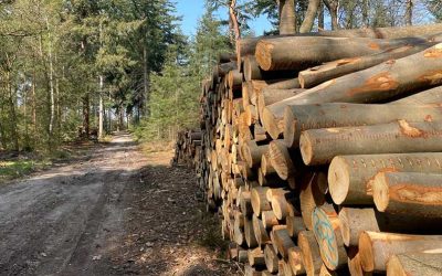 Natuur- en bosbeheer