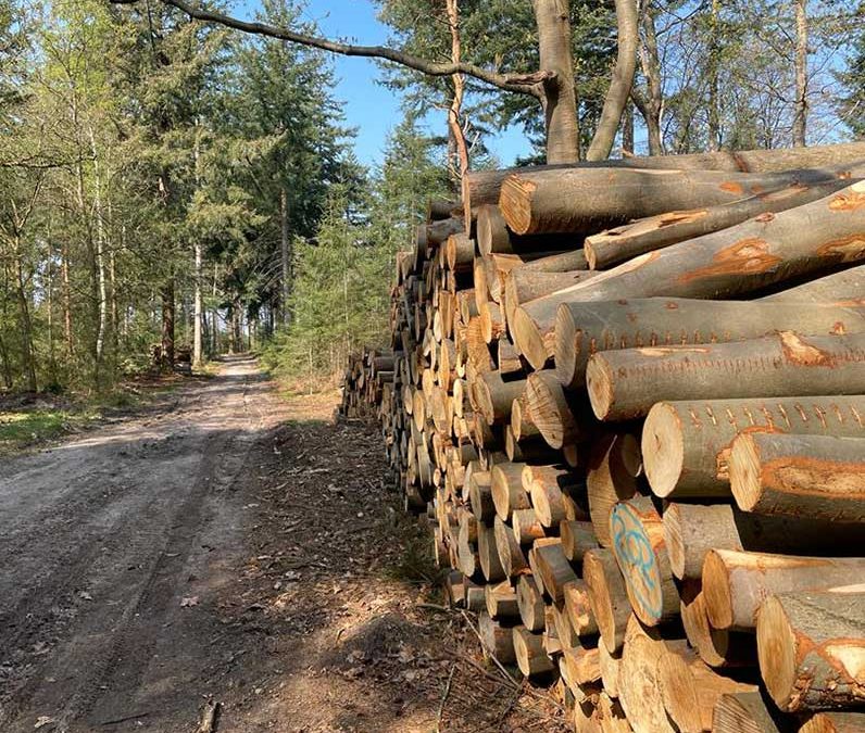 Natuur- en bosbeheer
