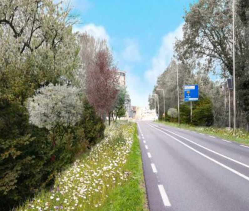 Beplantingsplan Zutphen Eefde