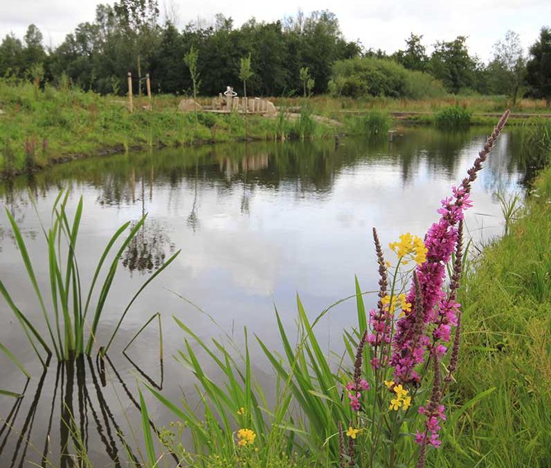 Betere kwaliteit voor water en recreatie