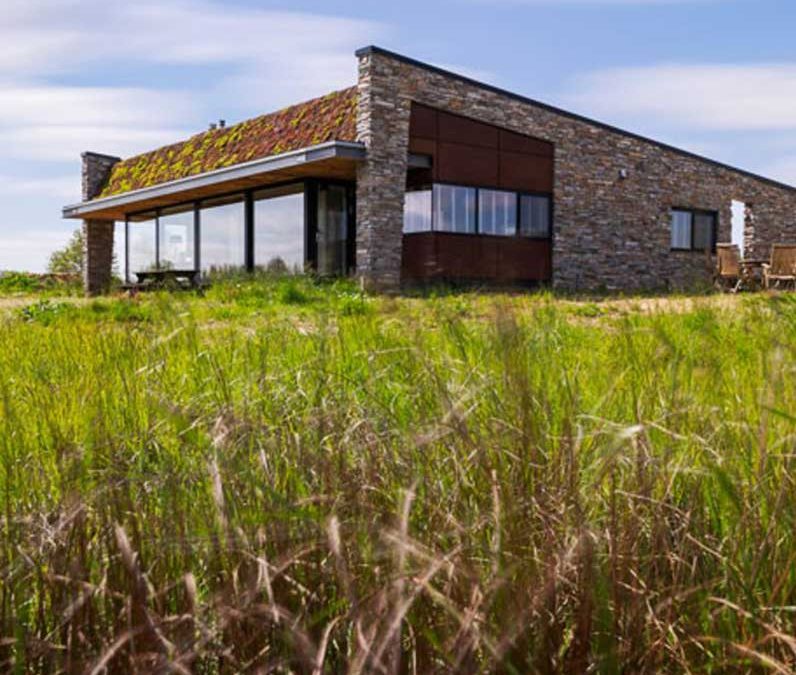 Woning die opgaat in de natuur