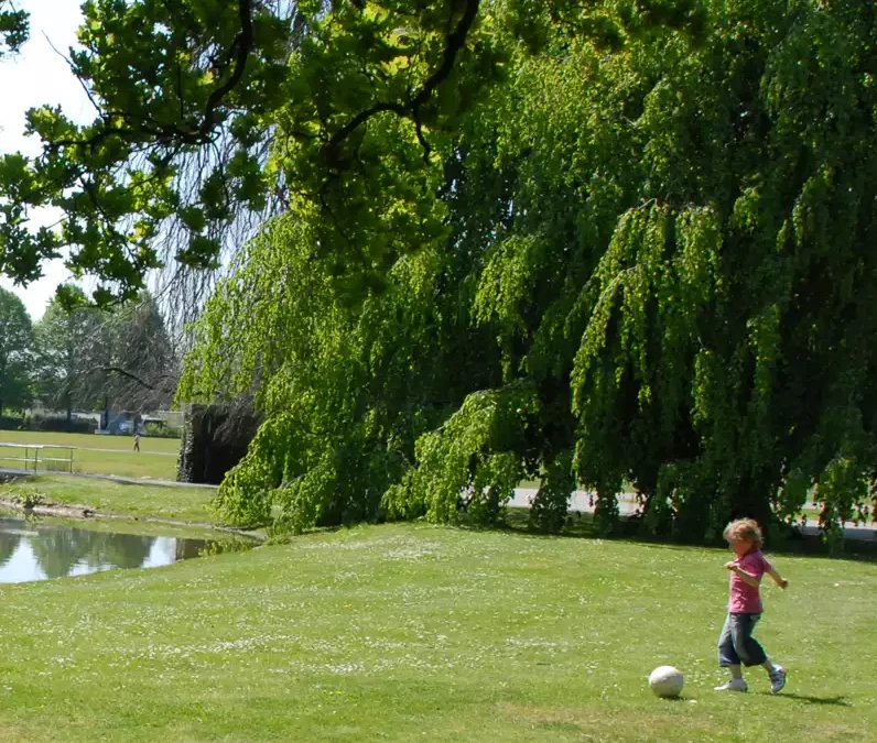 Expertise natuur en gezonde leefomgeving