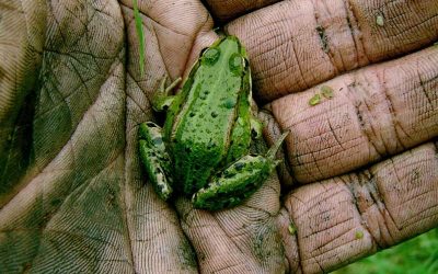 Gedragscode voor gemeenten