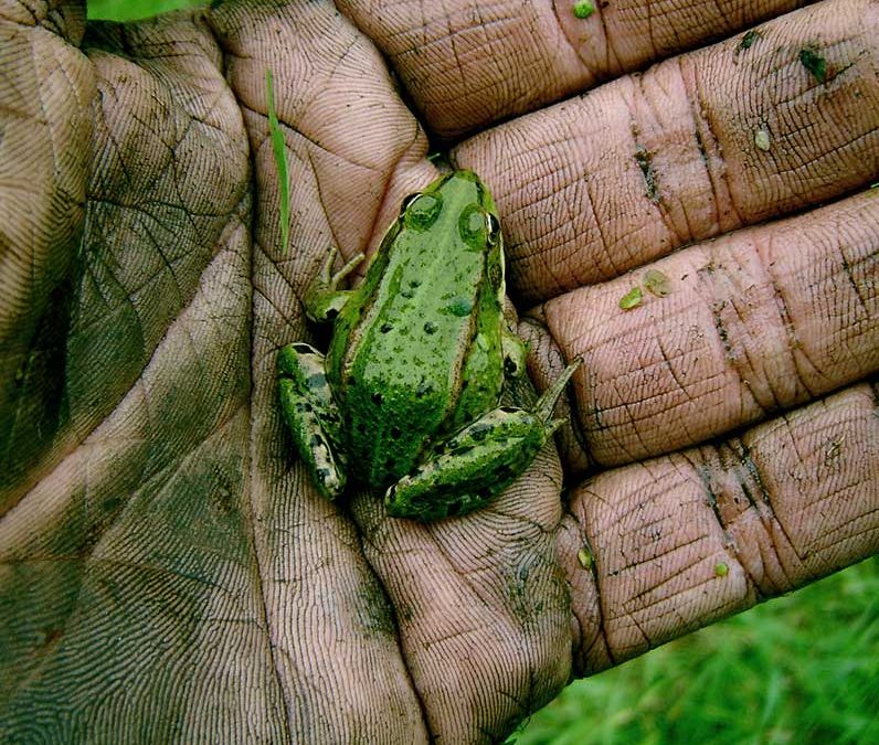 Gedragscode voor gemeenten