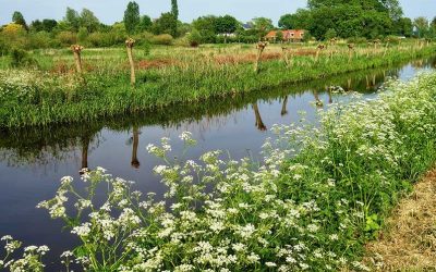 Kwaliteitsimpuls Groene Omgeving (KGO)