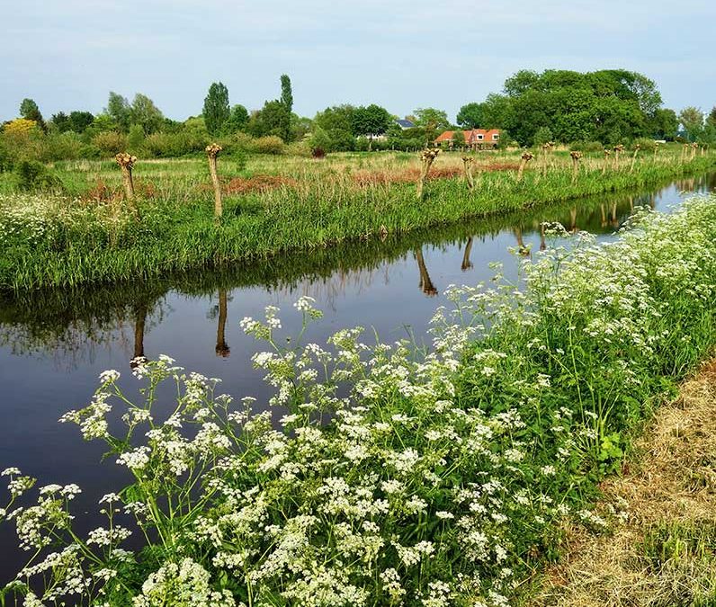 Kwaliteitsimpuls Groene Omgeving (KGO)