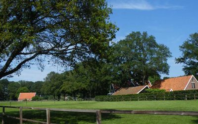 Rood voor Groen regeling