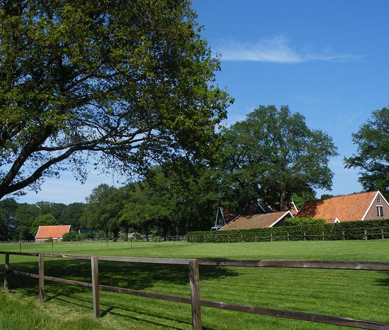 Rood voor Groen regeling