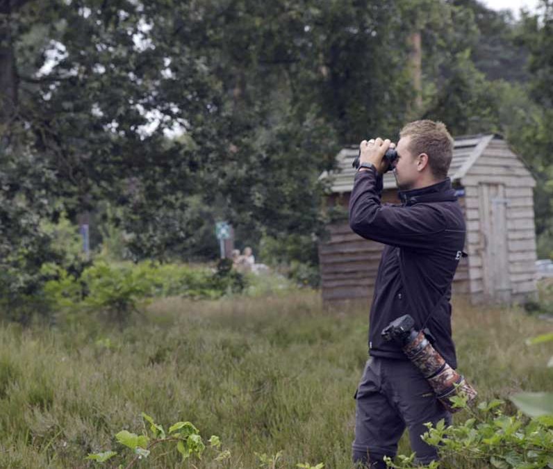 Soortmanagementplan (SMP)