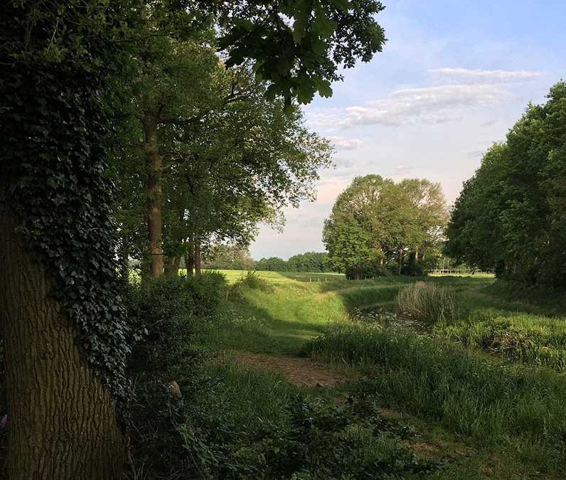 Beekherstel voor betere waterkwaliteit