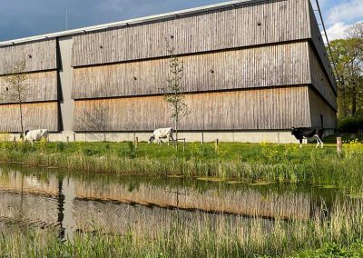 De Zuivelhoeve: bedrijfsuitbreiding én gebiedsontwikkeling