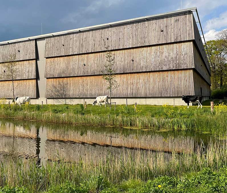 De Zuivelhoeve: bedrijfsuitbreiding én gebiedsontwikkeling