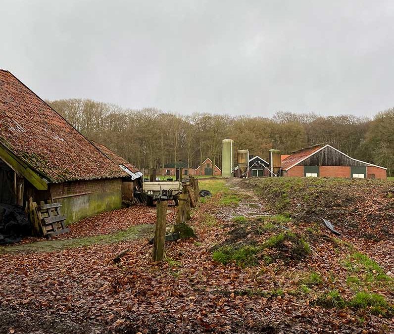 Erfontwikkeling door combinatie van regelingen