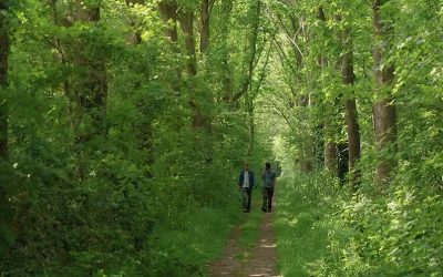 De Bosmakelaar in Zuid-Holland