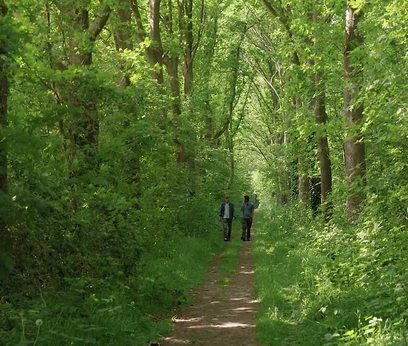 De Bosmakelaar in Zuid-Holland