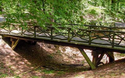 De strijd tegen de verdroging