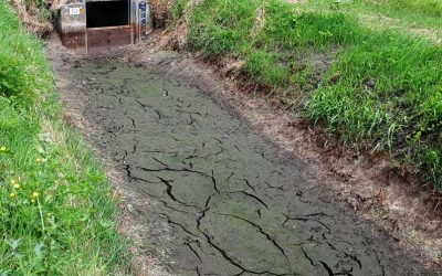 Sloten verondiepen tegen verdroging