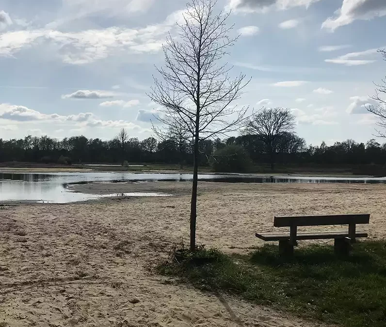 Natuurherstel Natura 2000-gebied