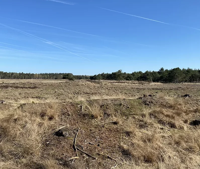 Natuurherstel in Zuidwest Drenthe